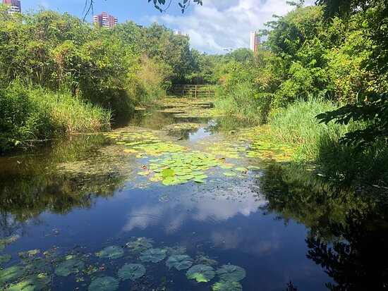 State's Coco Park-福塔莱萨必去景点