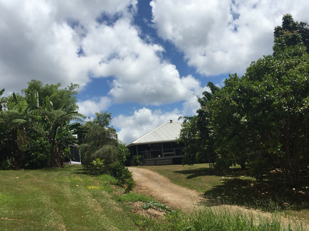 Rainforest Heart tropical Bushfood Orchard-Millaa Millaa必去景点