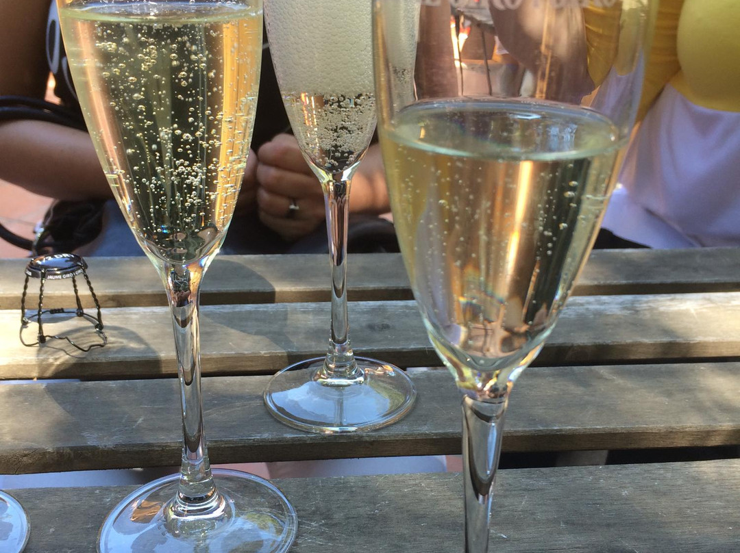 Jaume Giro I Giro, S.L. - EL Pati de Cal Rei