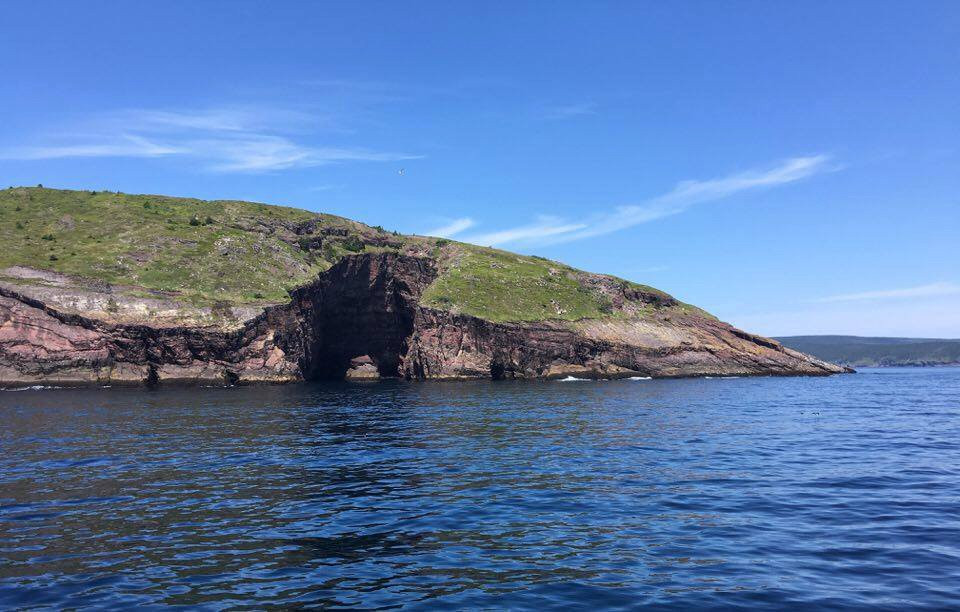 Bay Bulls旅游攻略图片