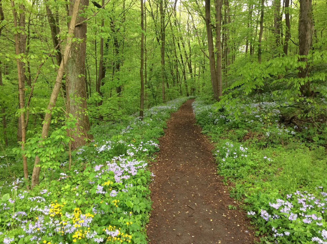 Shenk's Ferry Wildflower preserve-Pequea必去景点
