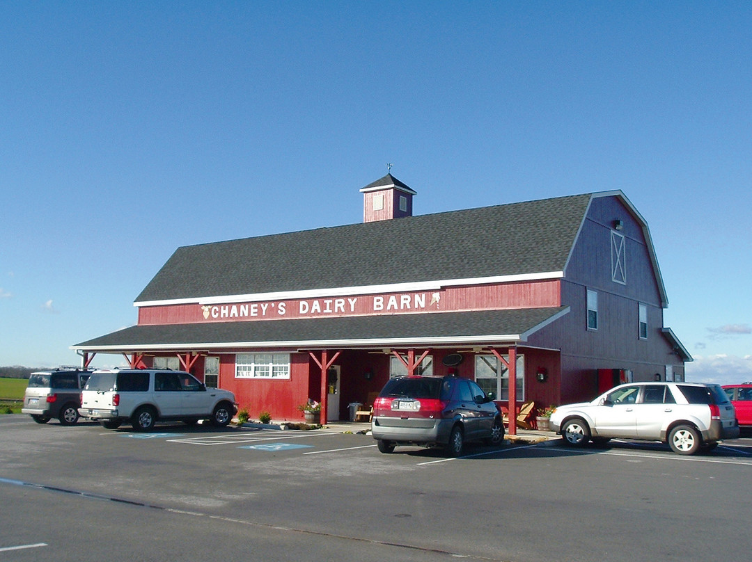 Chaney's Dairy Barn景点图片