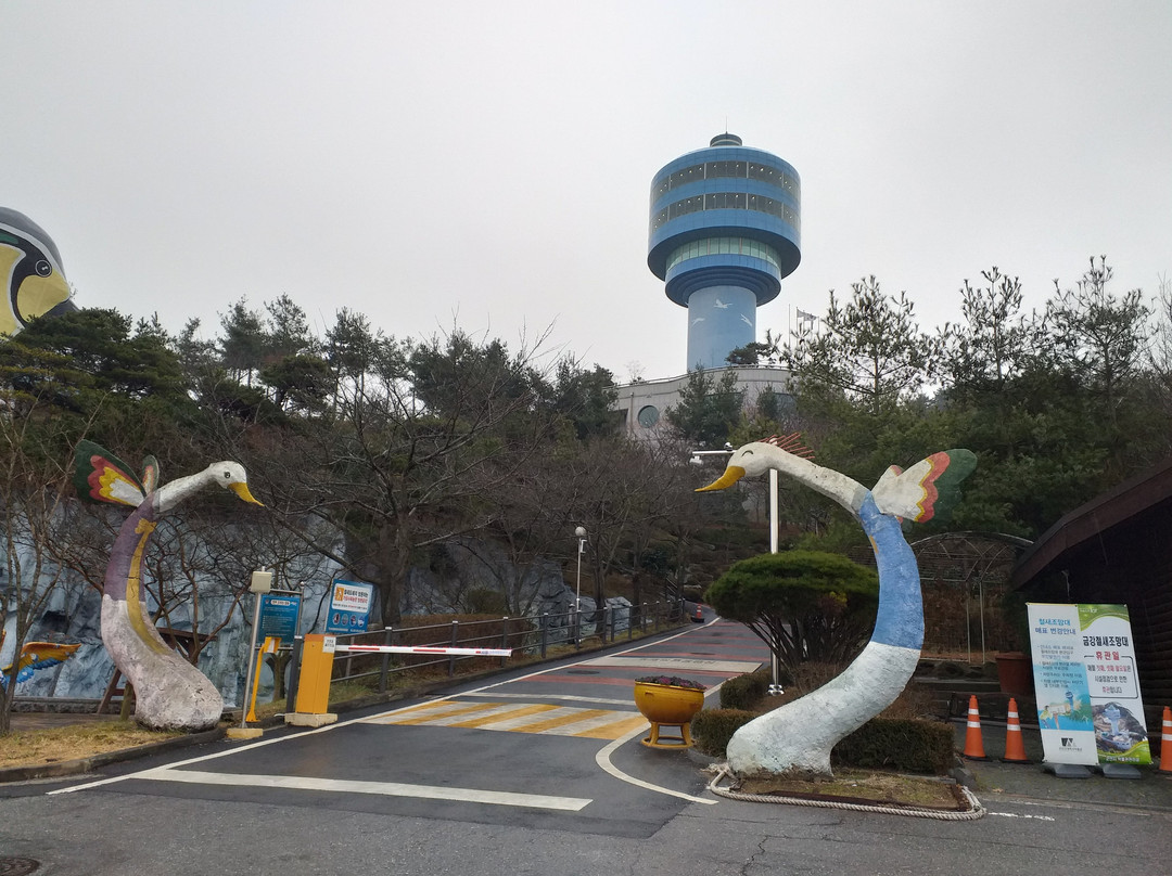 Geum Gang Migratory Bird Observatory景点图片