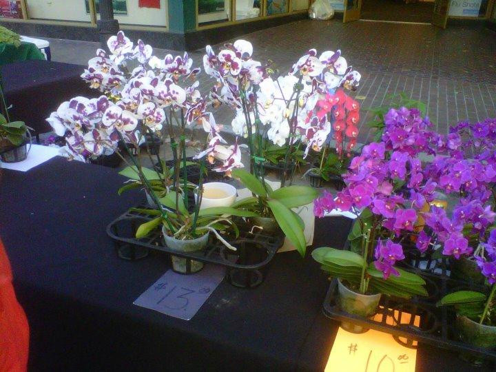 Old Monterey Farmer's Market景点图片