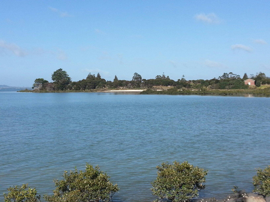 Beach Haven旅游攻略图片