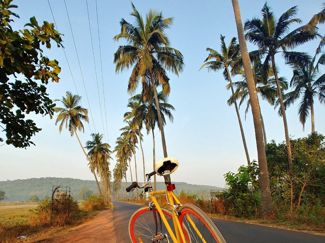 Cycling Zens景点图片