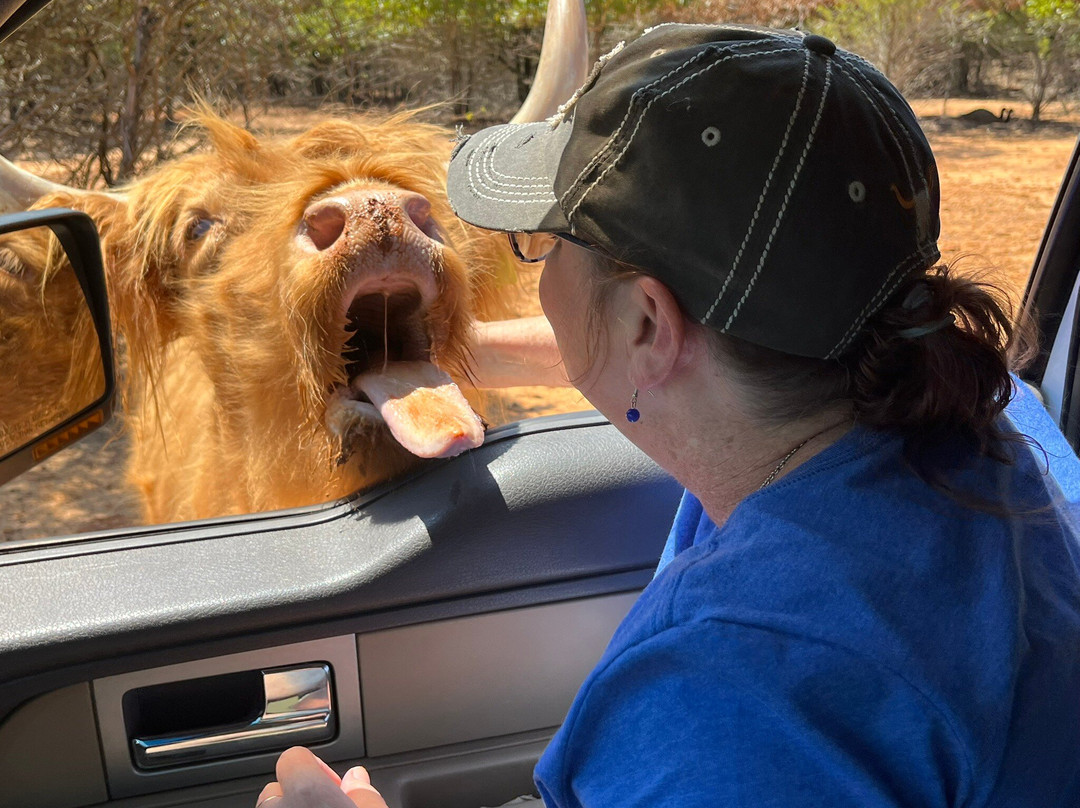 Rocky Ridge Drive Thru Safari景点图片