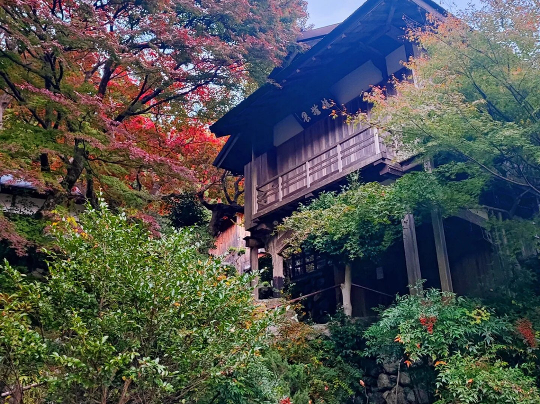 Tenkaizan Taiun-ji Temple景点图片