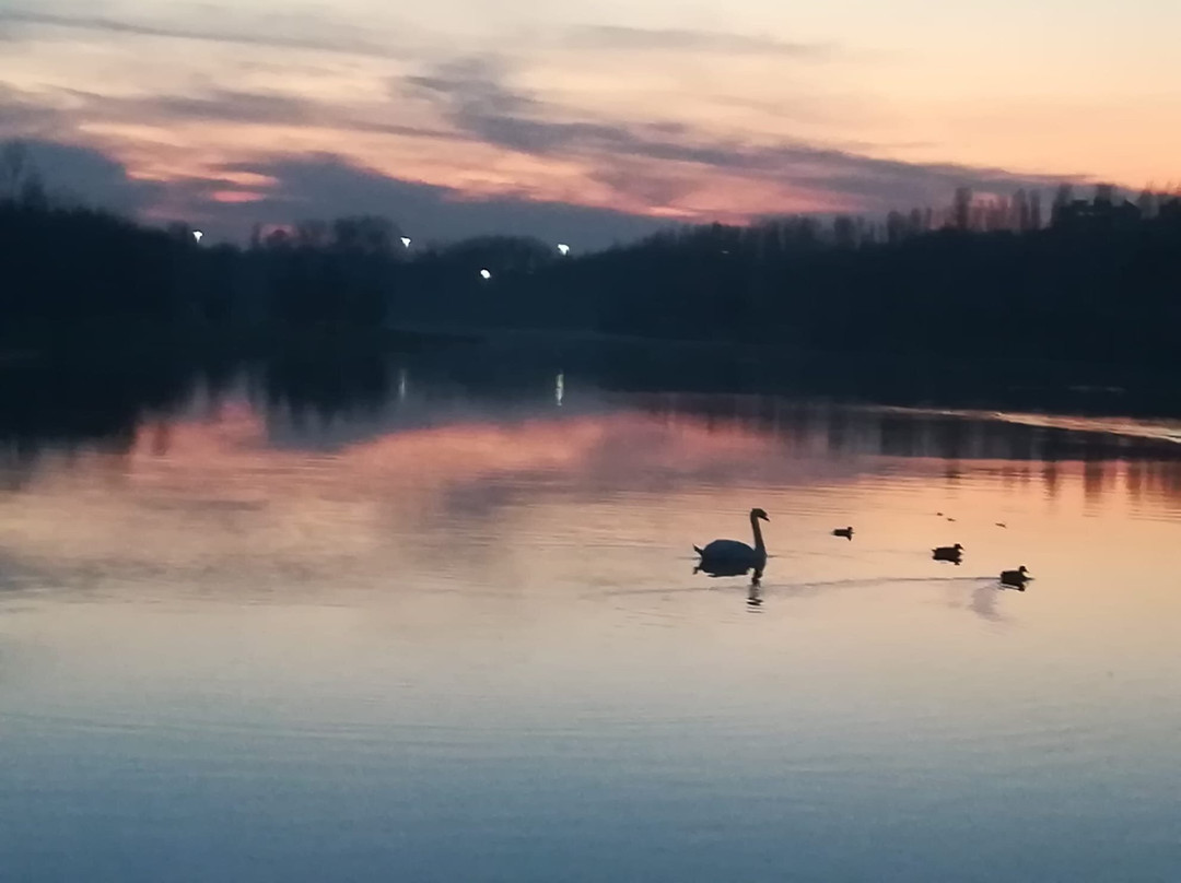 Parco Nord Milano景点图片