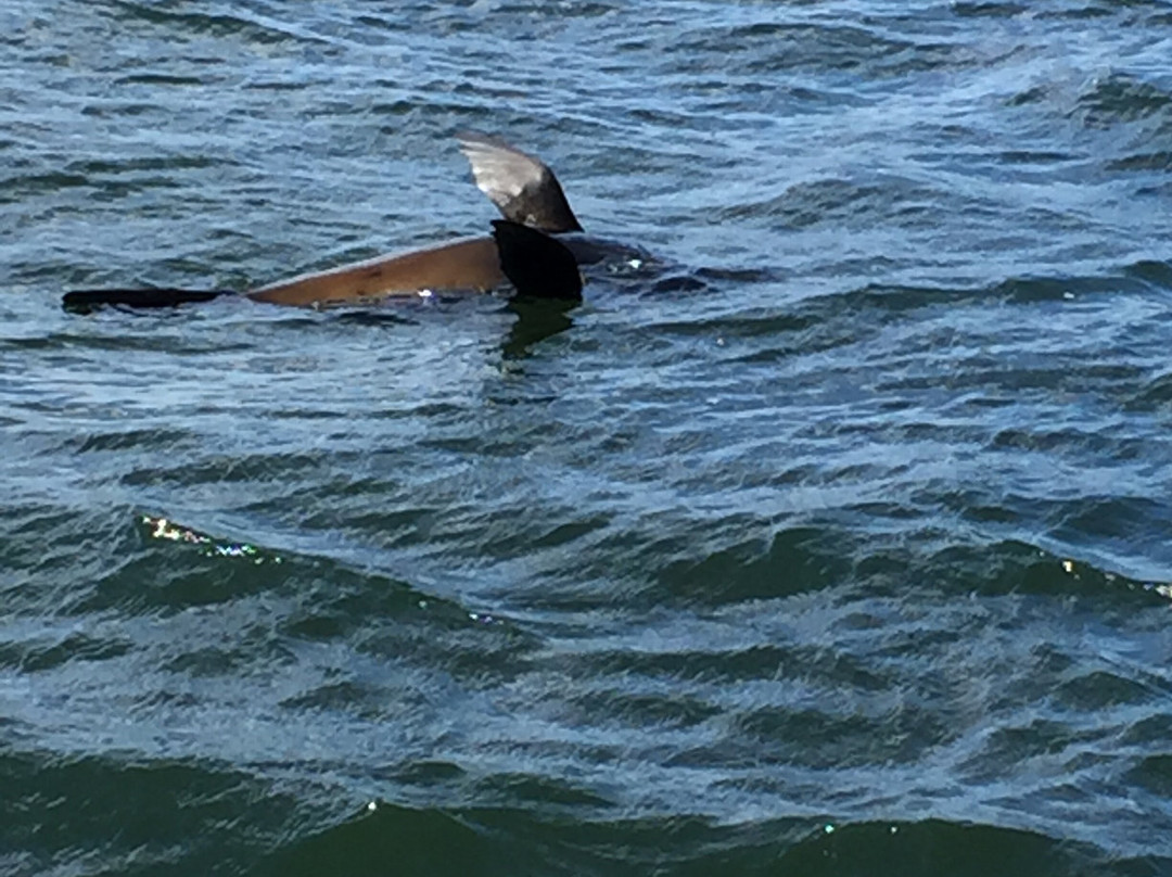 Kalgan River-Kalgan必去景点