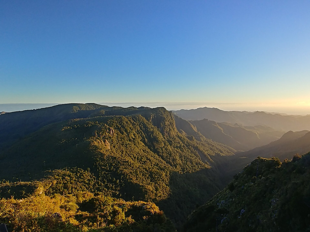 Kauaeranga Kauri Trail (Pinnacles Walk)景点图片