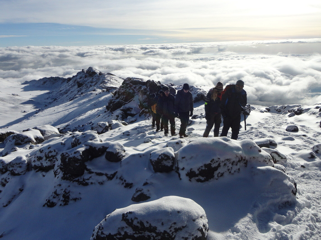 DODO GROUP TANZANIA LTD