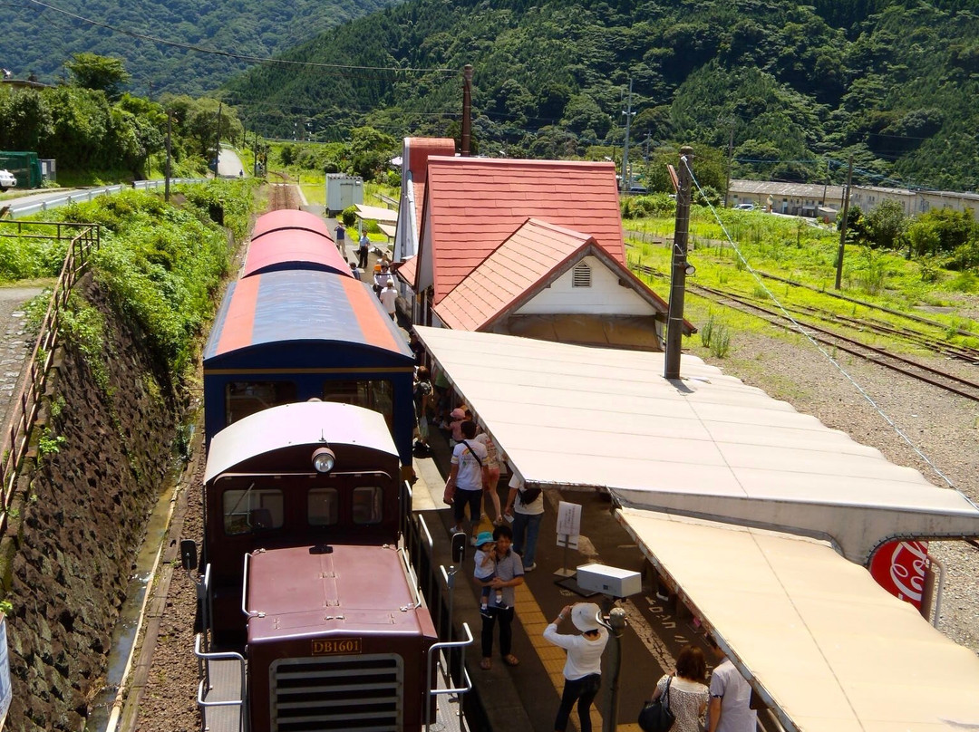 Minamiaso Railway景点图片