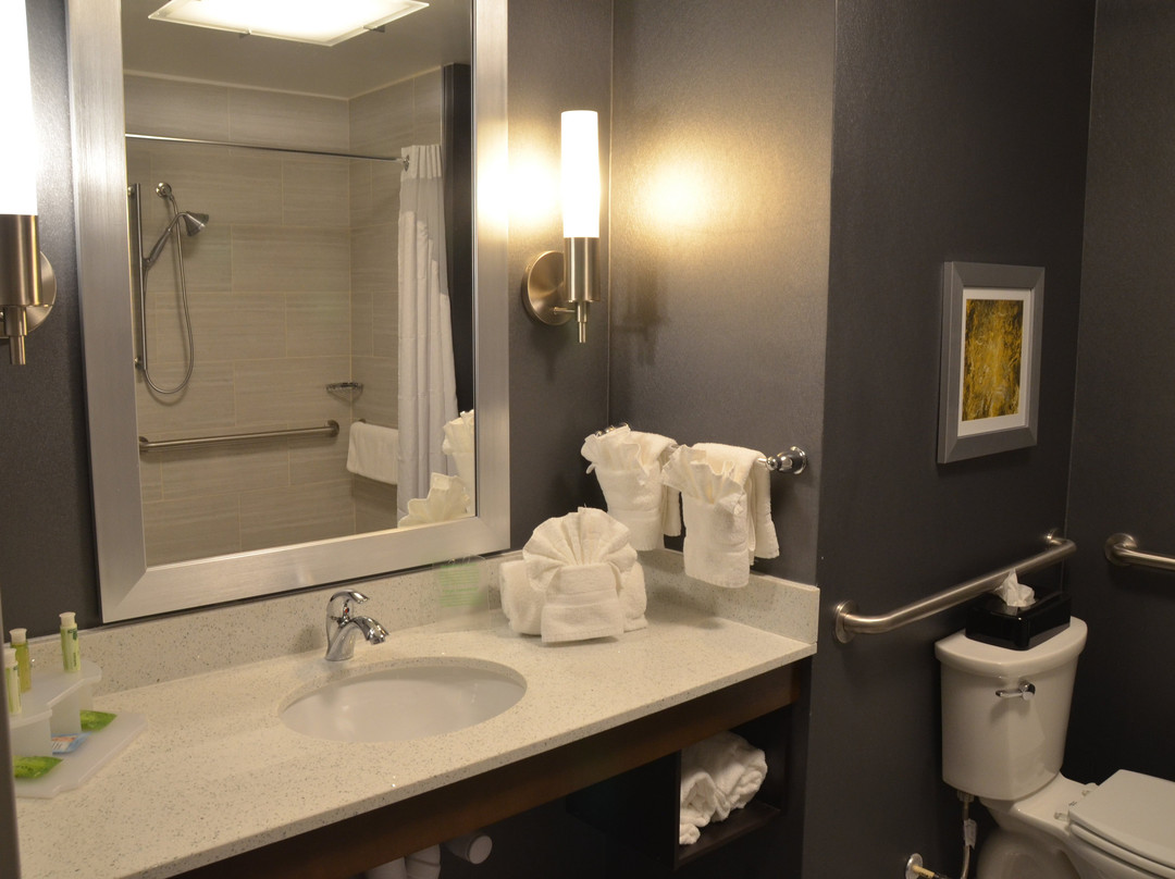 Holiday Inn Express & Suites Albany By IHG主图