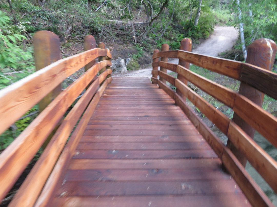 Roughlock Falls Trail