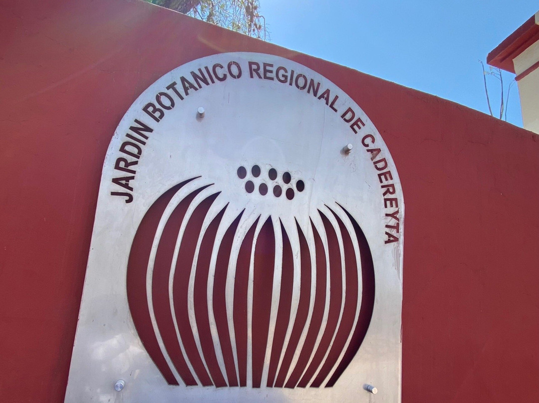 Jardin Botanico Regional de Cadereyta景点图片