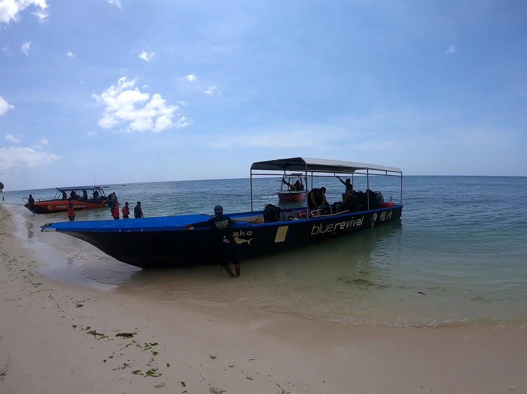 Blue Revival Diving-邦劳岛必去景点