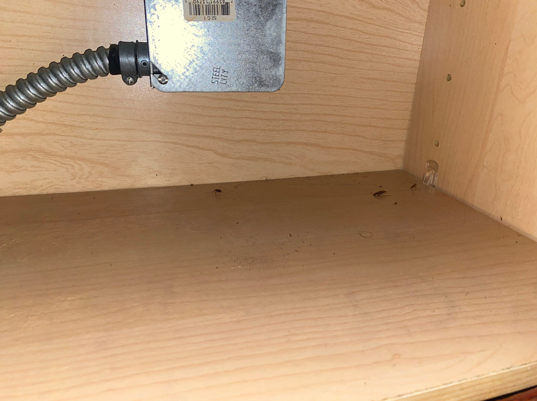 Extended Stay America Select Suites - Fayetteville -  Cliffdale主图