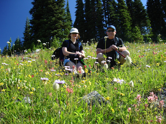 Heli Canada Adventures-雷夫尔斯托克必去景点
