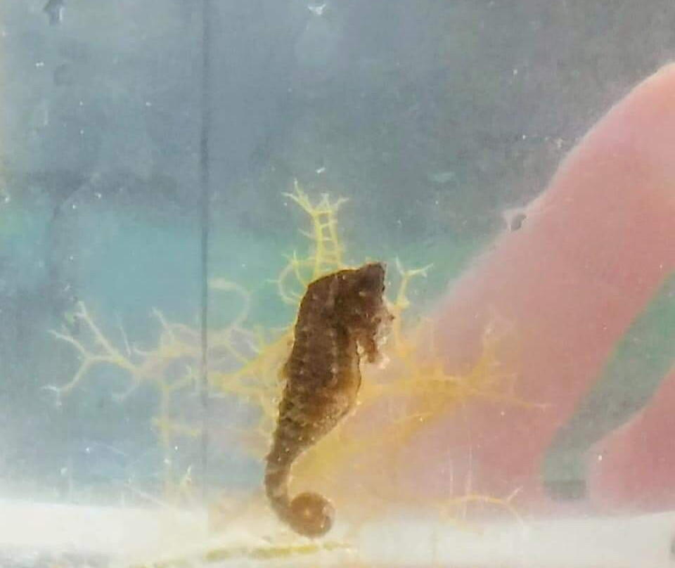 Estero Bay Preserve State Park