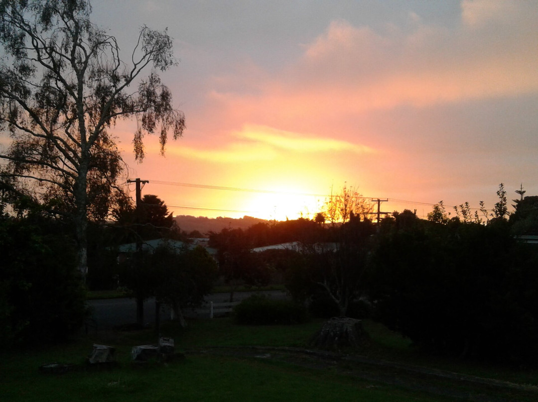 Hone Heke Memorial Park景点图片