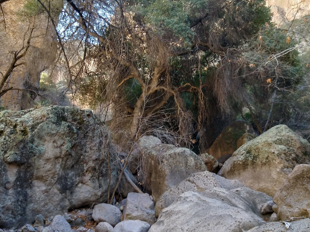 Aravaipa Canyon-Winkelman必去景点
