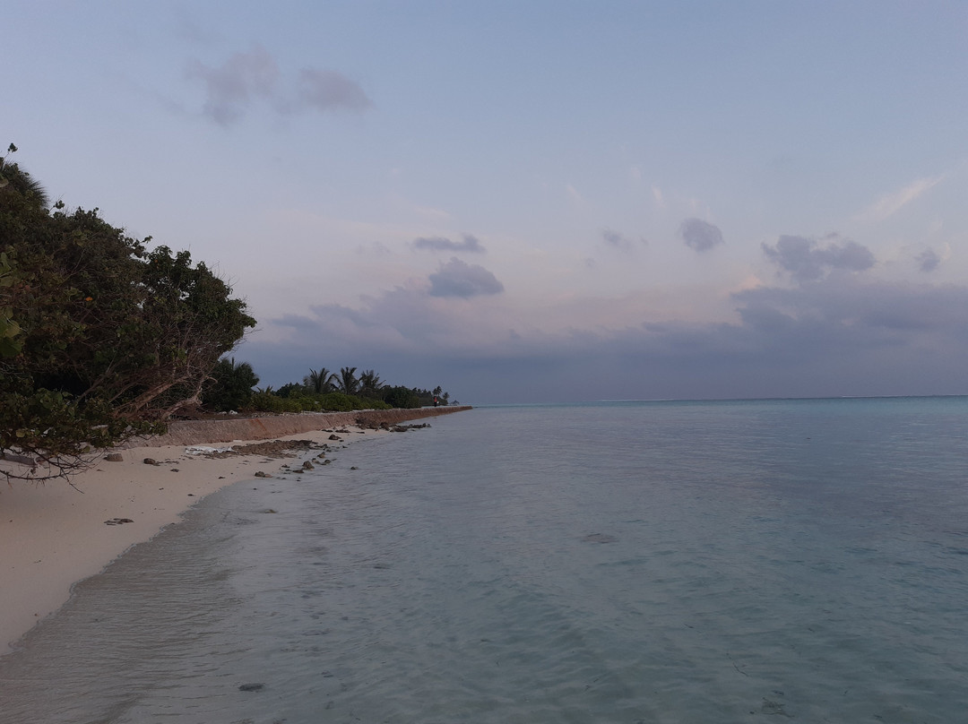 Maldives Diving Loabi景点图片