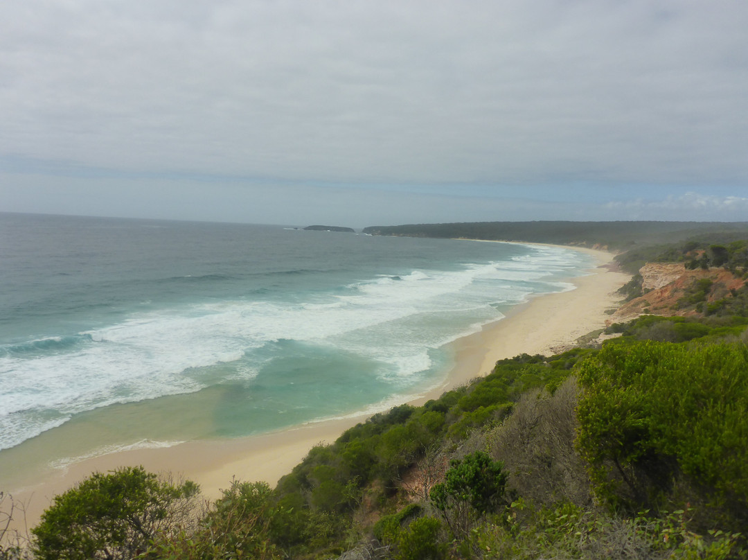 Pinnacles Beach景点图片