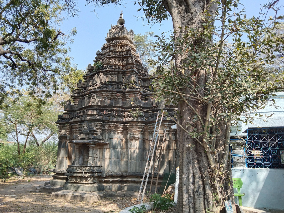 Pachala Someswar Temple景点图片