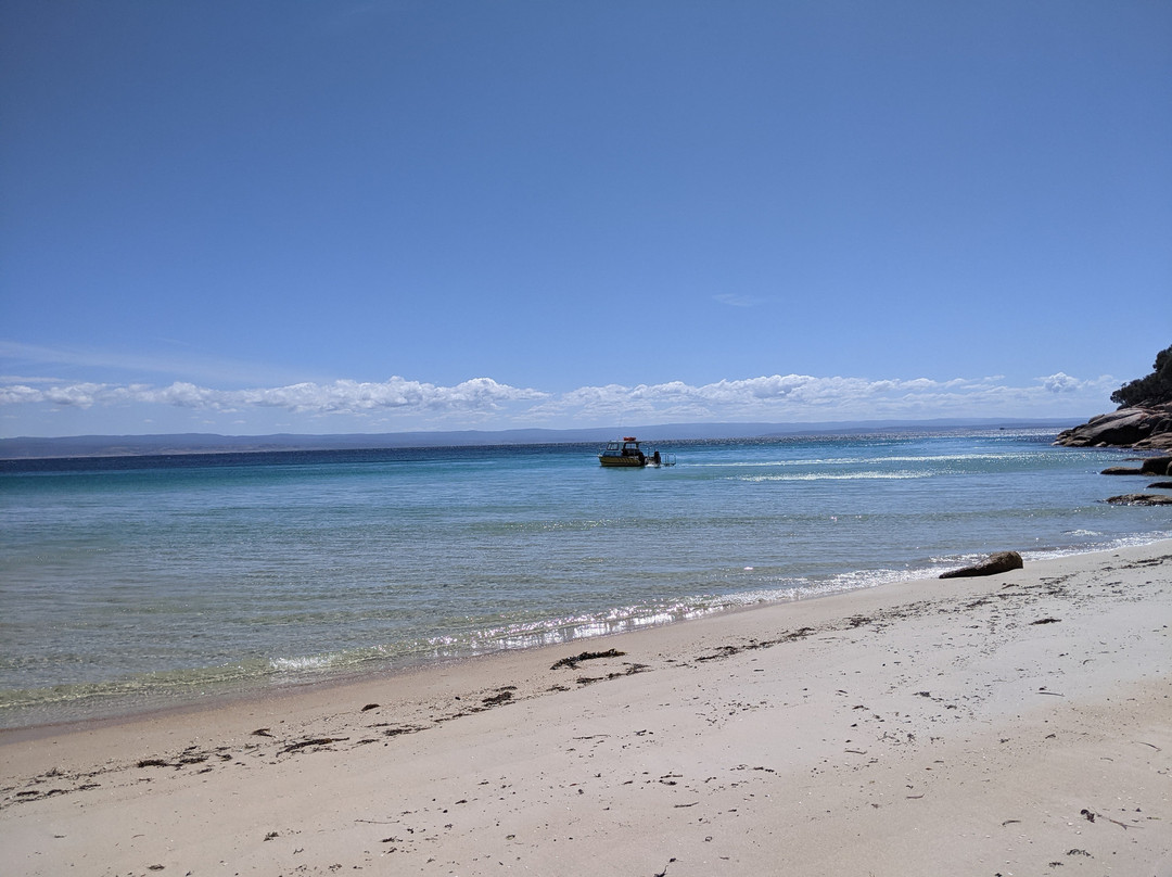 Freycinet Aqua Taxi-菲欣纳国家公园必去景点