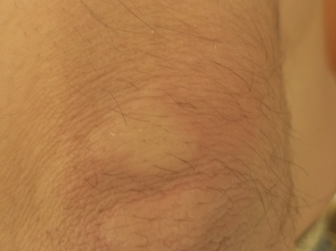 Rodeway Inn & Suites主图