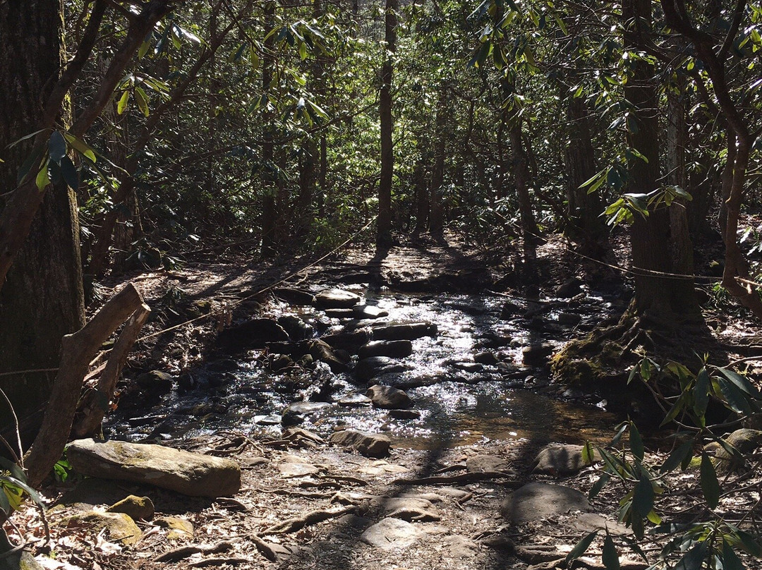 Byron Herbert Reece Trail景点图片