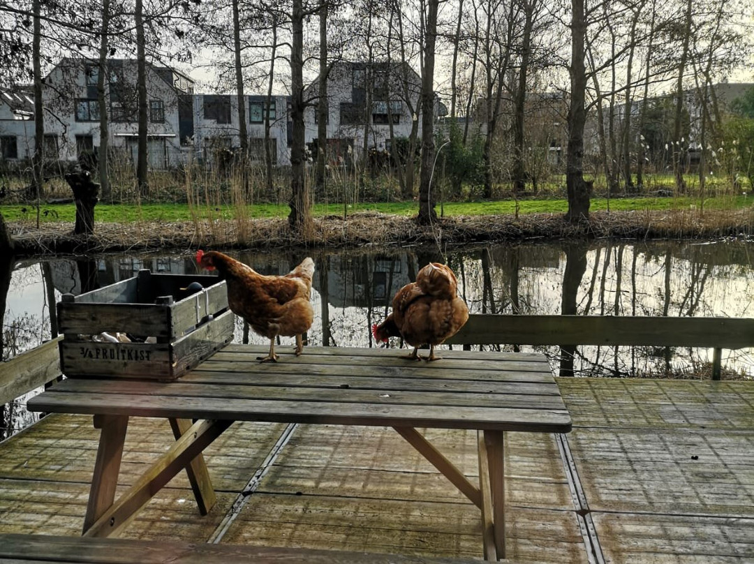 Buitenhotel De Vreemde Vogel主图