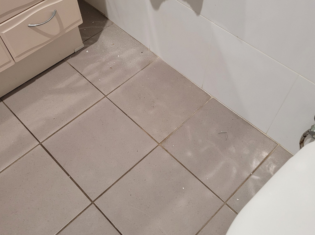 棕榈岛汽车旅馆主图