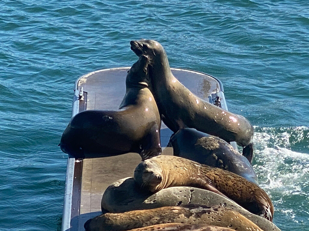 Burton W. Chace Park-玛丽安德尔湾必去景点