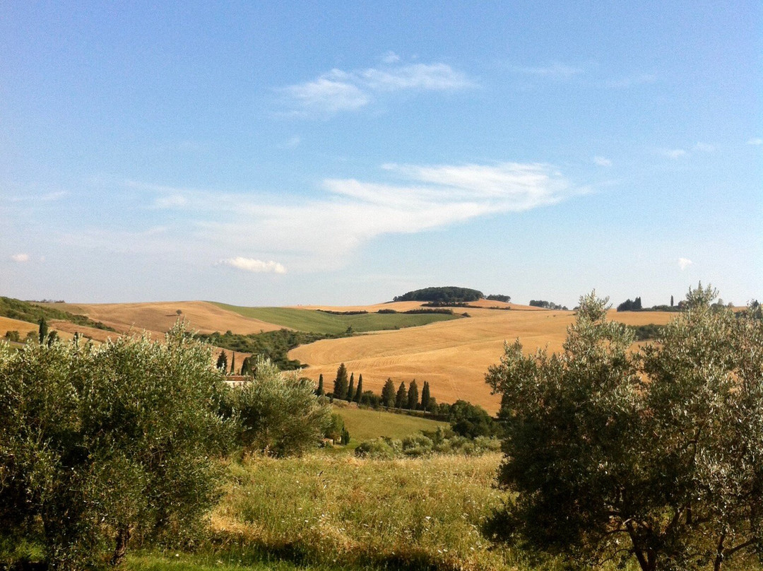 Monticchiello-皮恩扎必去景点