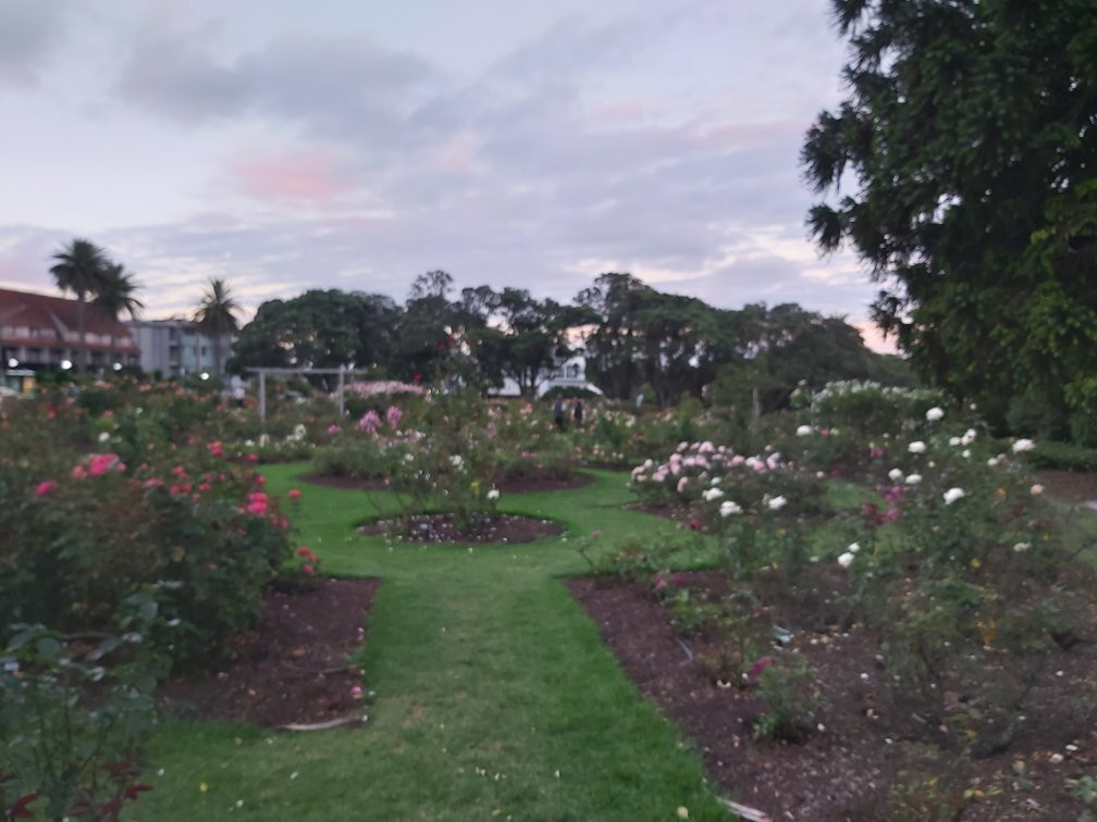 帕内尔大道-奥克兰中心地区必去景点