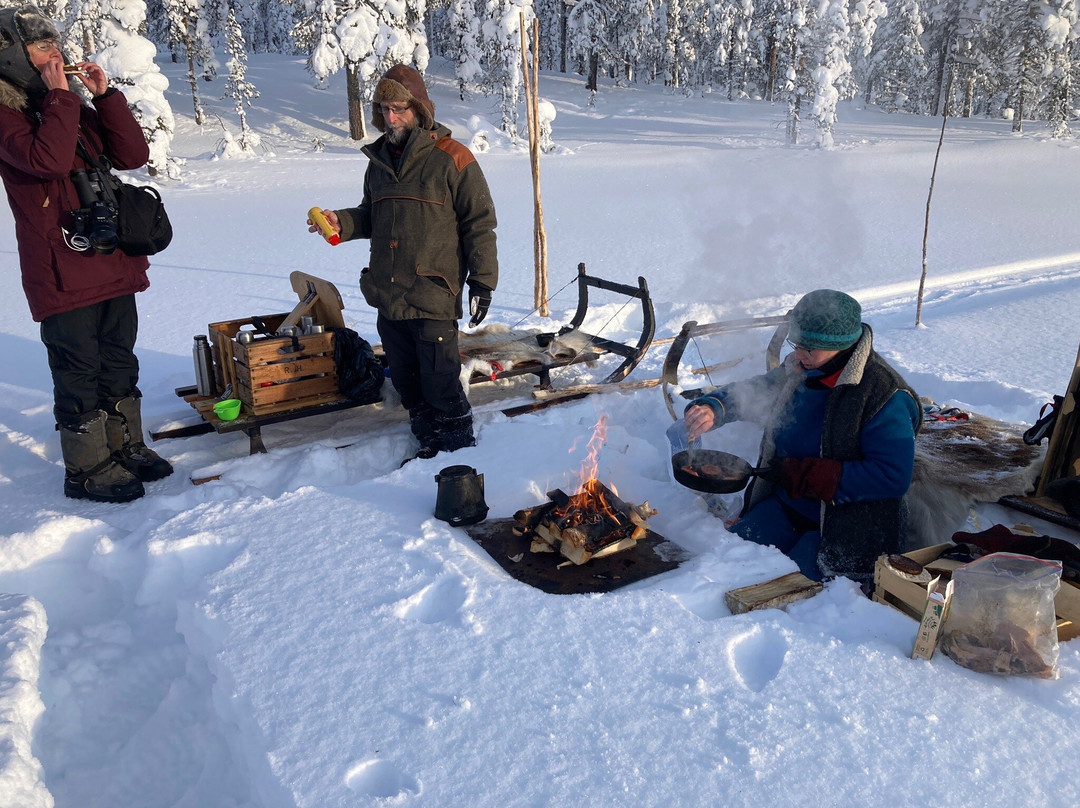 Jokkmokk Arctic Dream景点图片