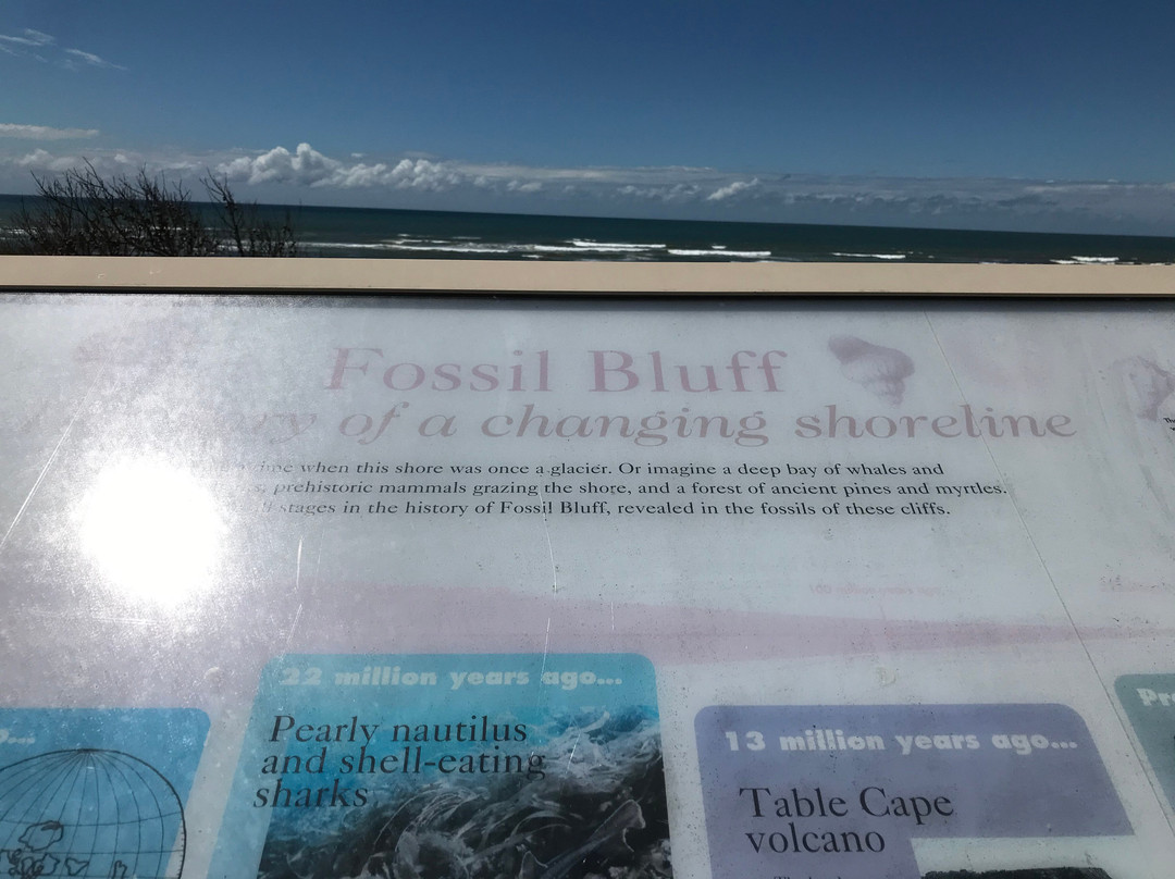 Fossil Bluff-温耶德必去景点