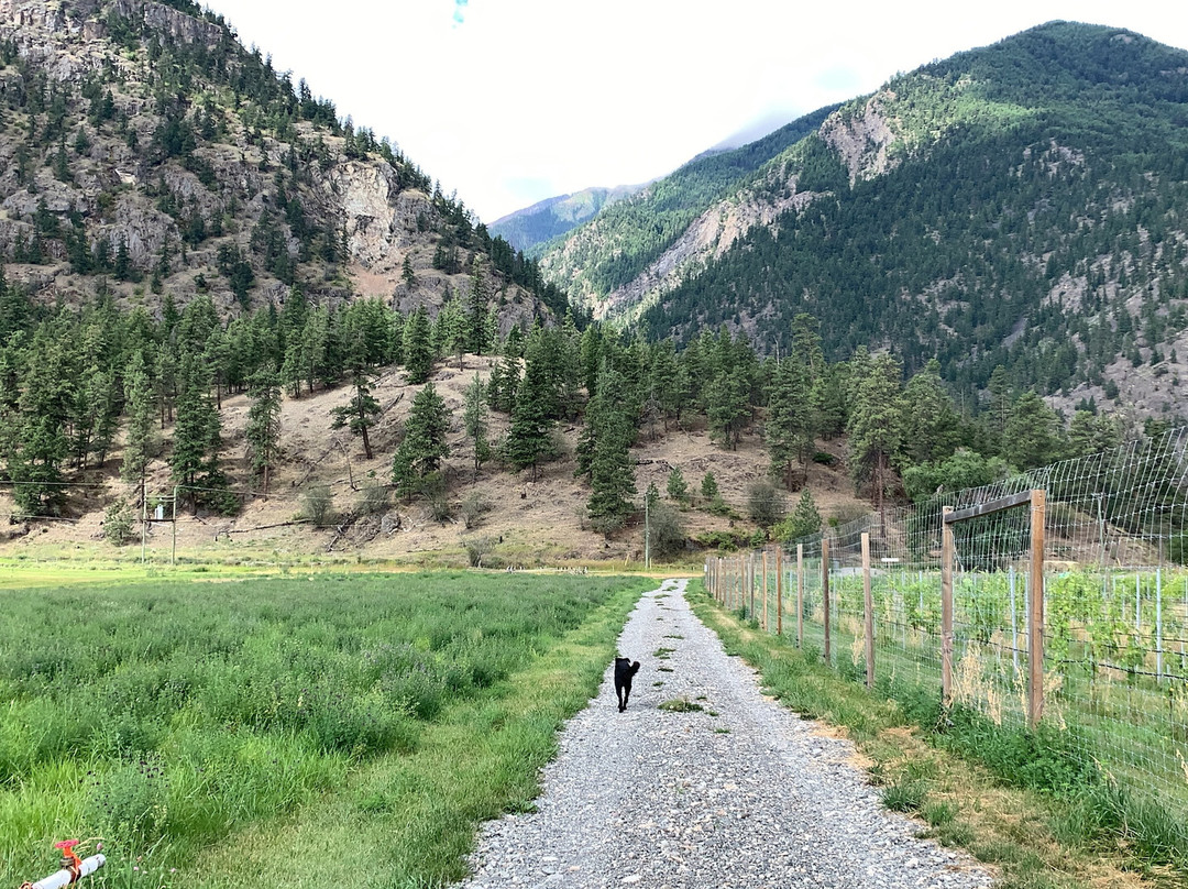 Cliff and Gorge Vineyards-Lillooet必去景点