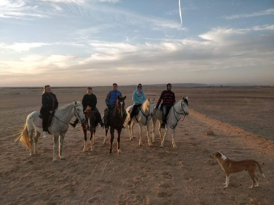 HorseTrips Hurghada-赫尔格达必去景点