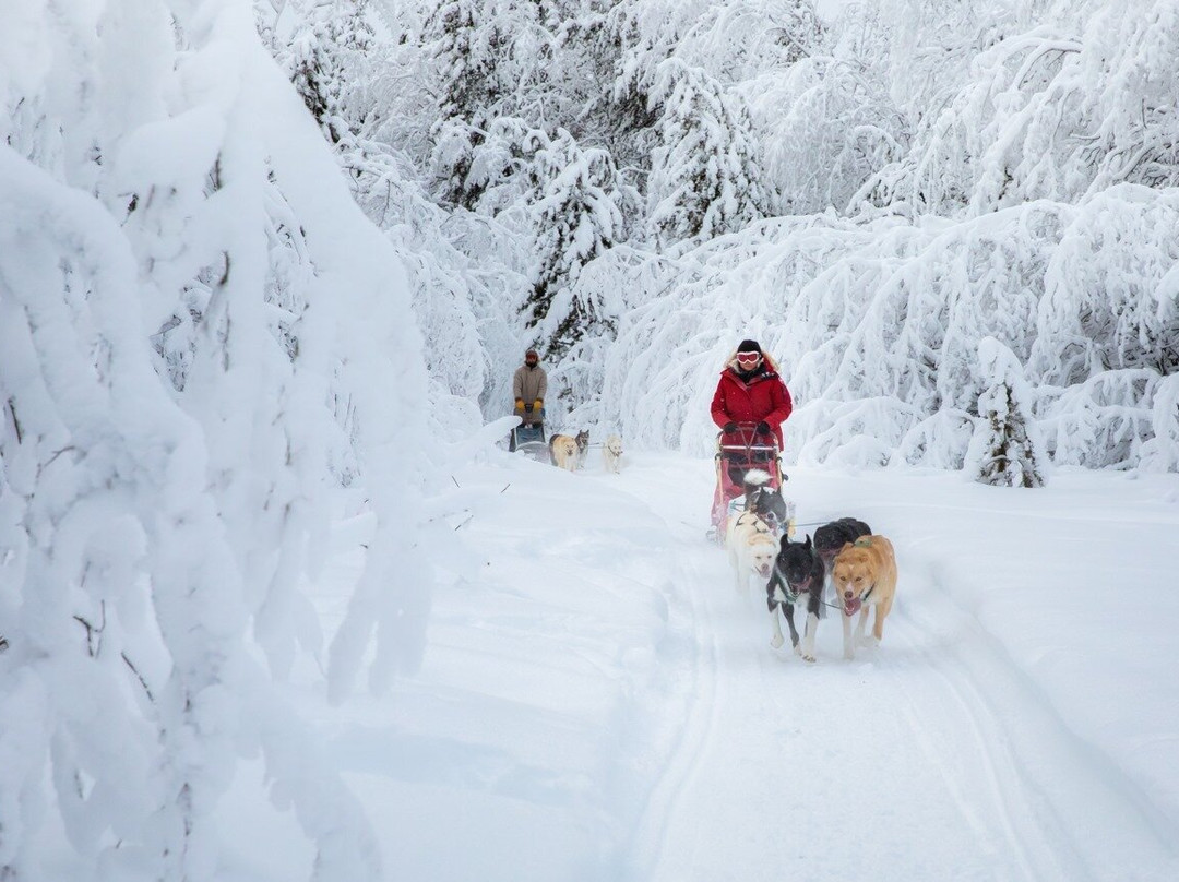 Atlin Backcountry Adventures-Atlin必去景点