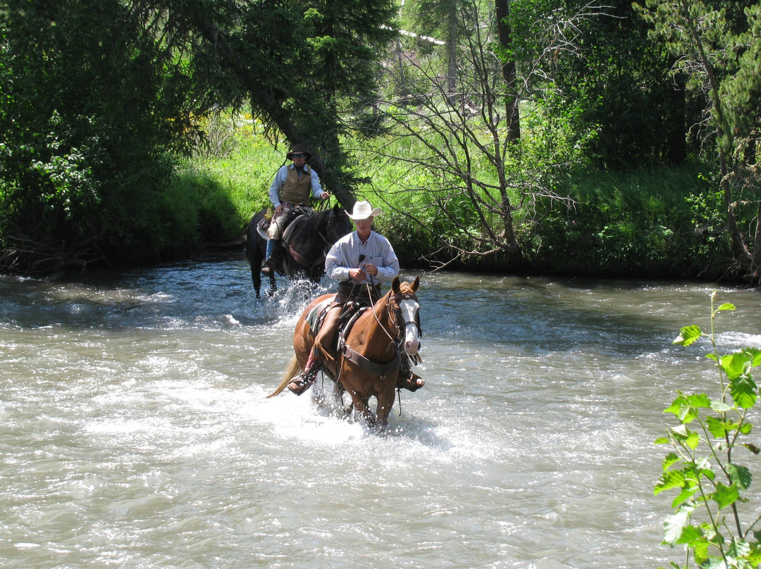 Real McCoy Horses-科迪必去景点