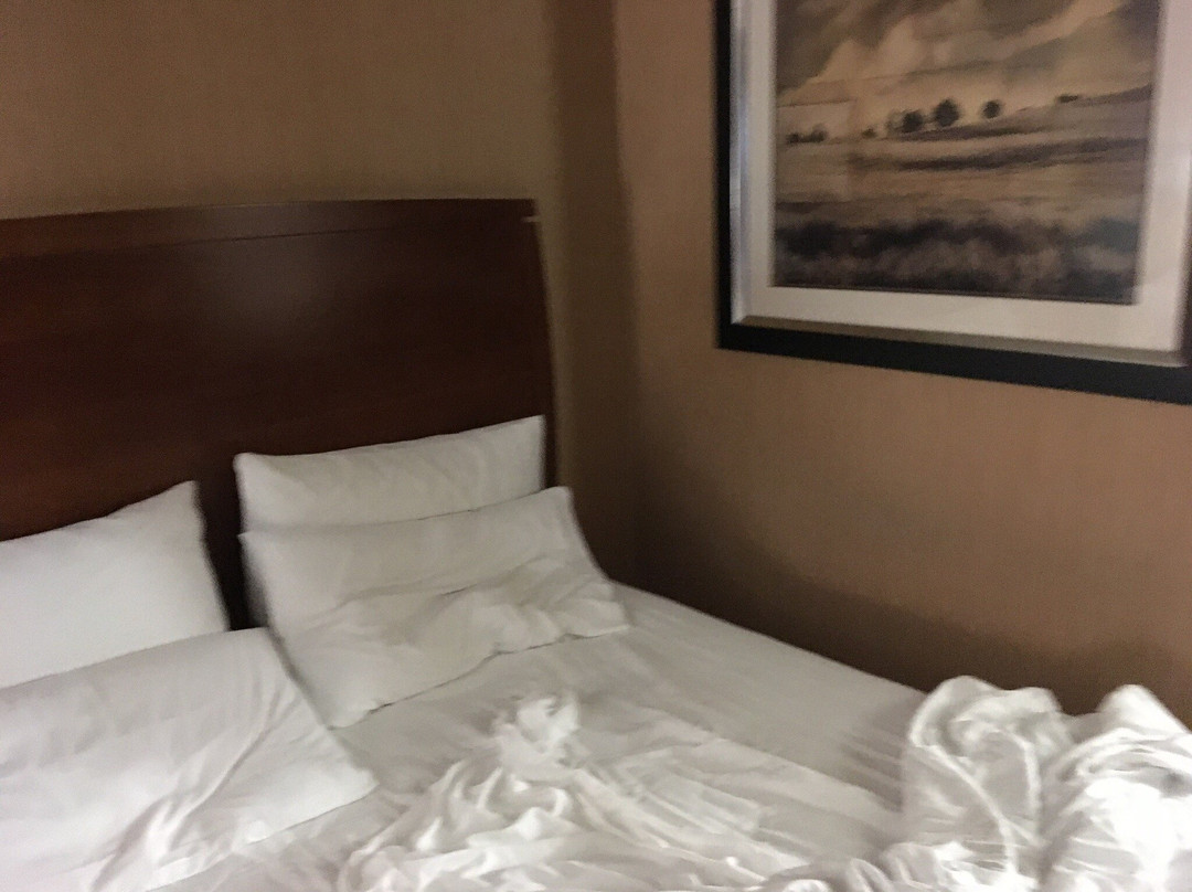 费尔法克斯阿灵顿大道快捷假日酒店主图