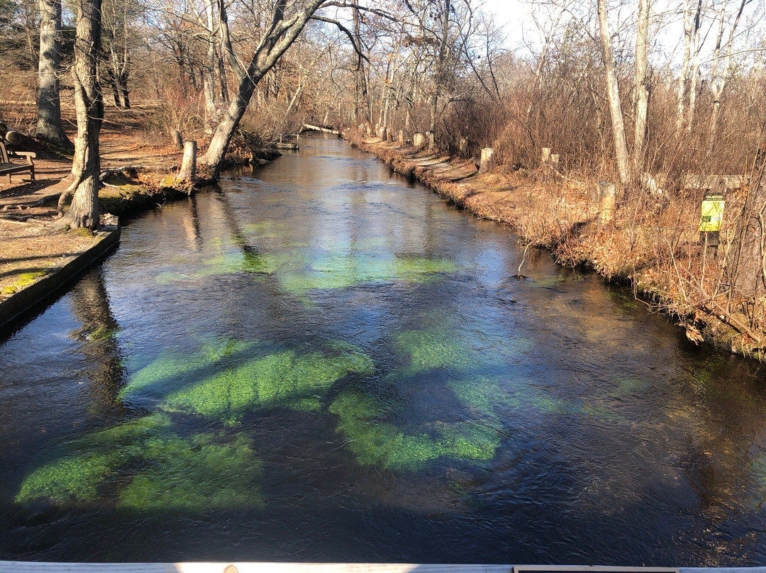 Connetquot River State Park Preserve-Bohemia必去景点