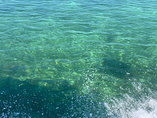 Mermaid Charters Key West-基韦斯特必去景点