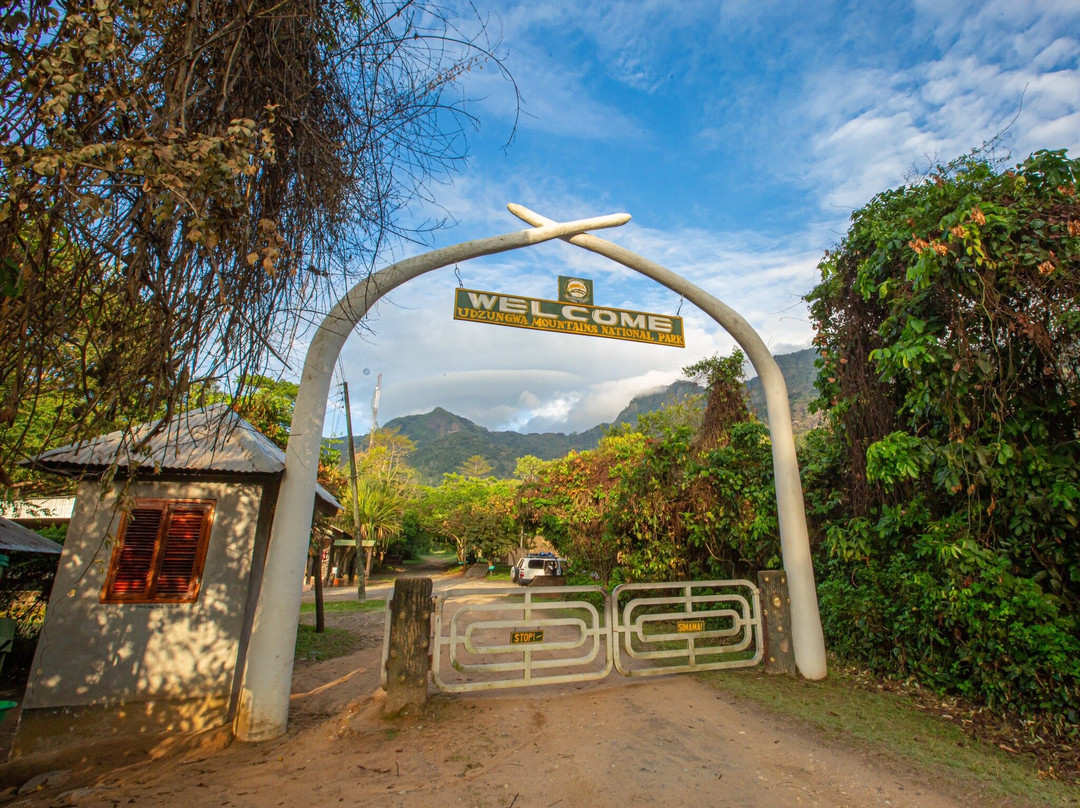 null-Udzungwa Mountains National Park