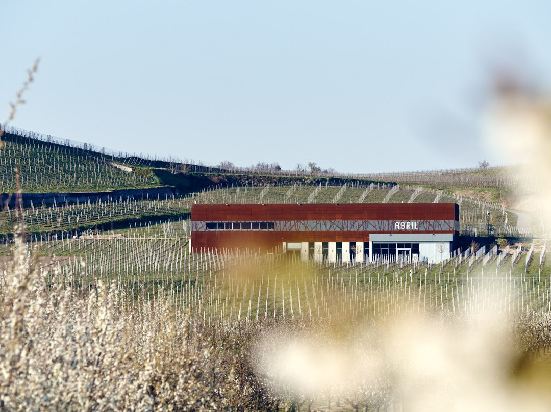 Weingut Abril景点图片