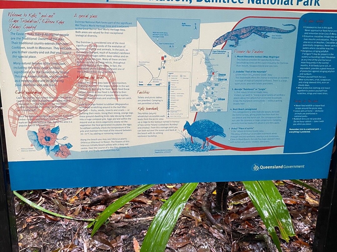 Daintree Ferry景点图片