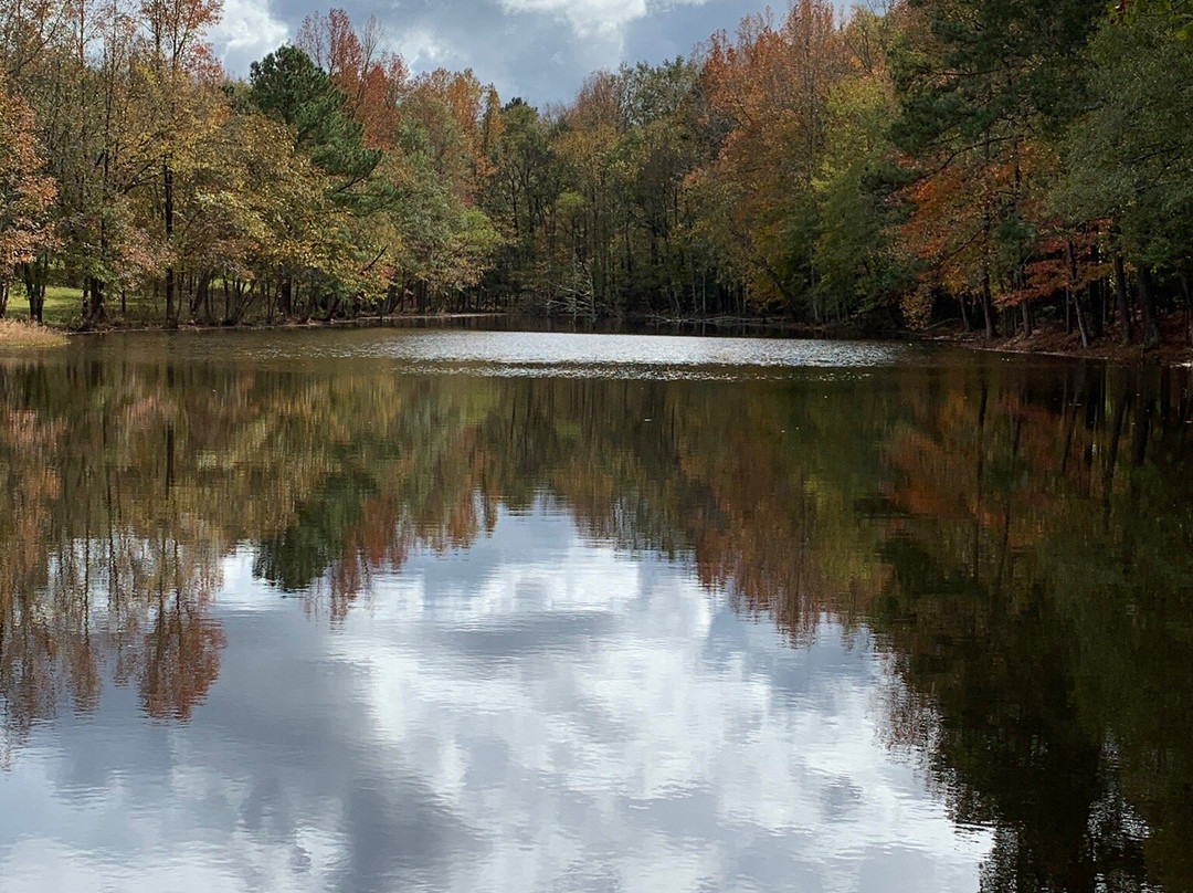Musgrove Mill State Historic Site景点图片